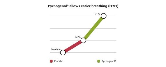 Pycnogenol allows easier breathinig