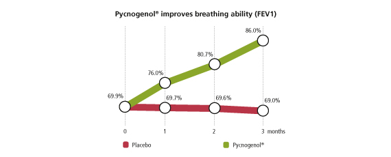 Pycnogenol improves breathing ability (FEV1)
