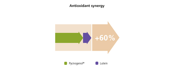 Antioxidant synergy