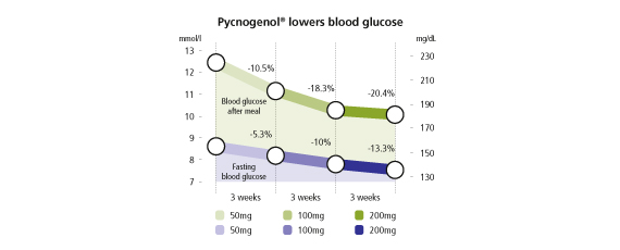 Pycnogenol lowers blood glucose