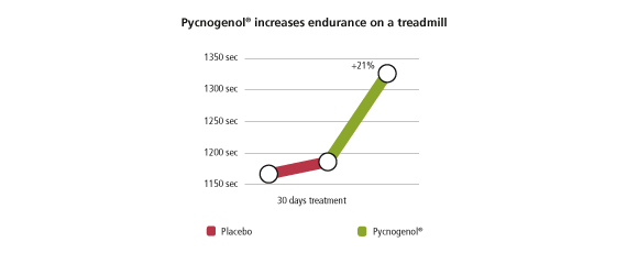 Pycnogenol increases endurance on a treadmill